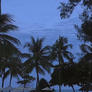 久久精品一区二区三区四区无码
