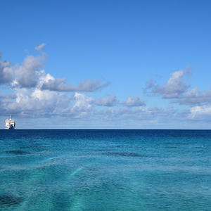 久久精品一区二区三区四区无码
